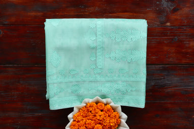 Mint Green handloom Banarsi saree with kadhua motifs in pure Kora silk