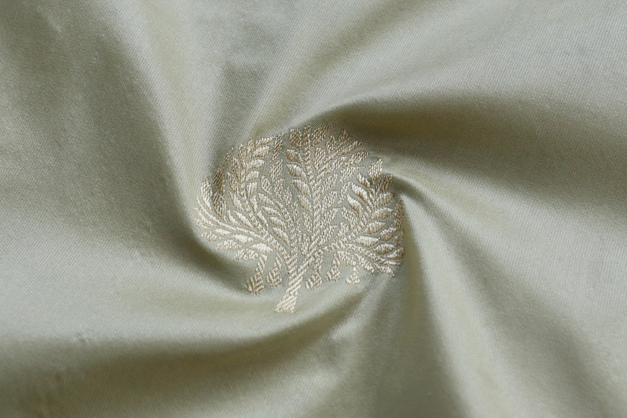 Aanchal motif on Cream Green Motif Banarasi saree