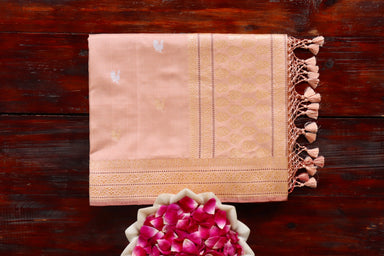 Sandalwood Peacock Motif Pure Silk Banarasi Saree | Stuti Weaves