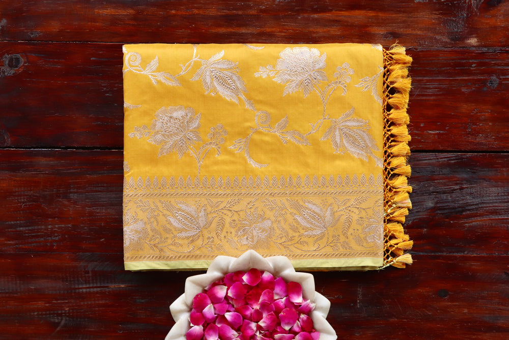 Yellow Chinar pure Katan silk Banarasi saree with scrolling vines and florals in continuous Jangla layout, draped for the camera.