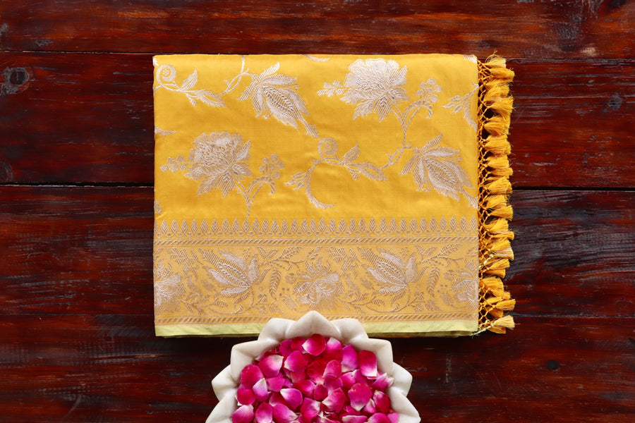 Yellow Chinar pure Katan silk Banarasi saree with scrolling vines and florals in continuous Jangla layout, draped for the camera.