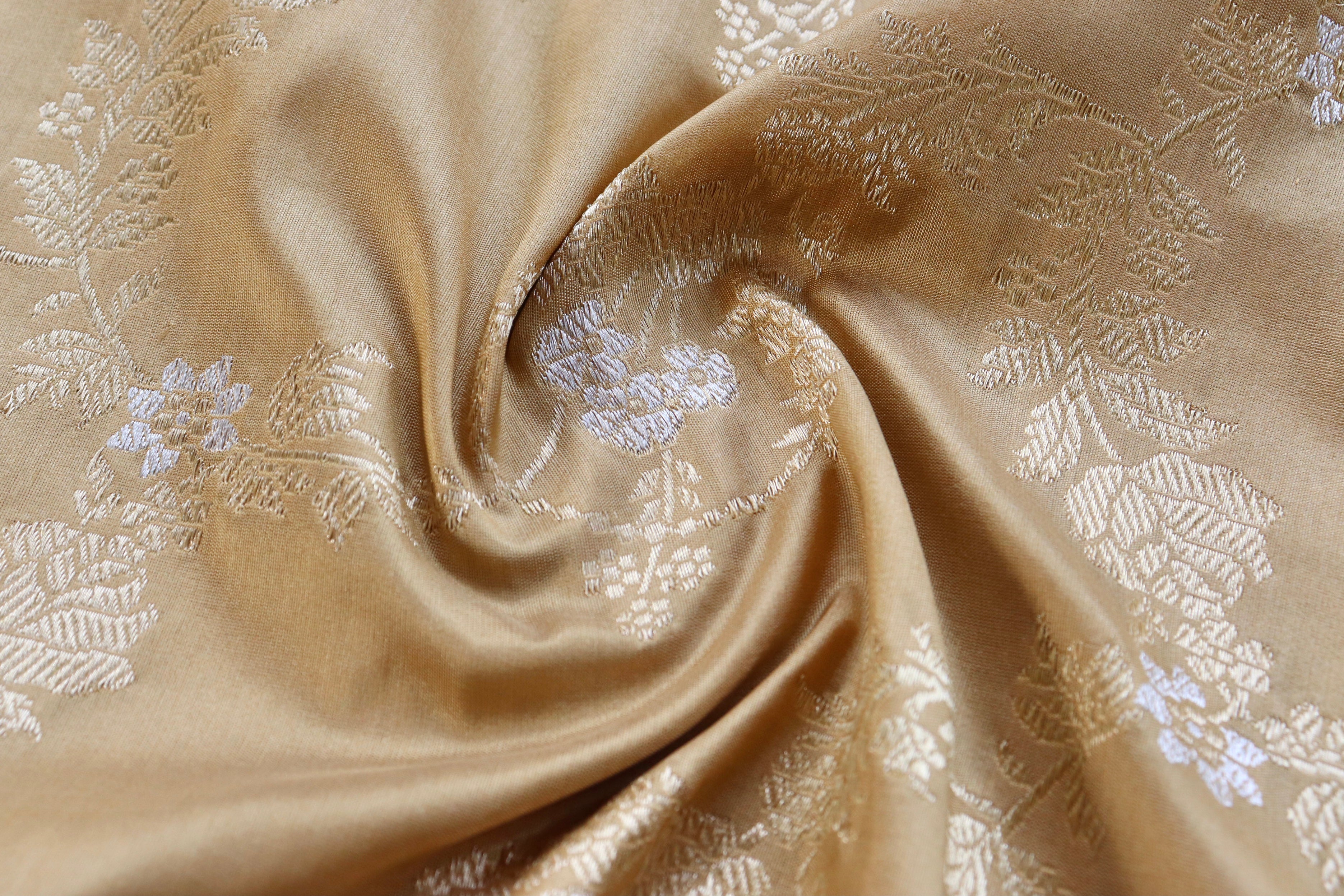 Beige Jangla Pure Silk Handloom Banarasi Dupatta