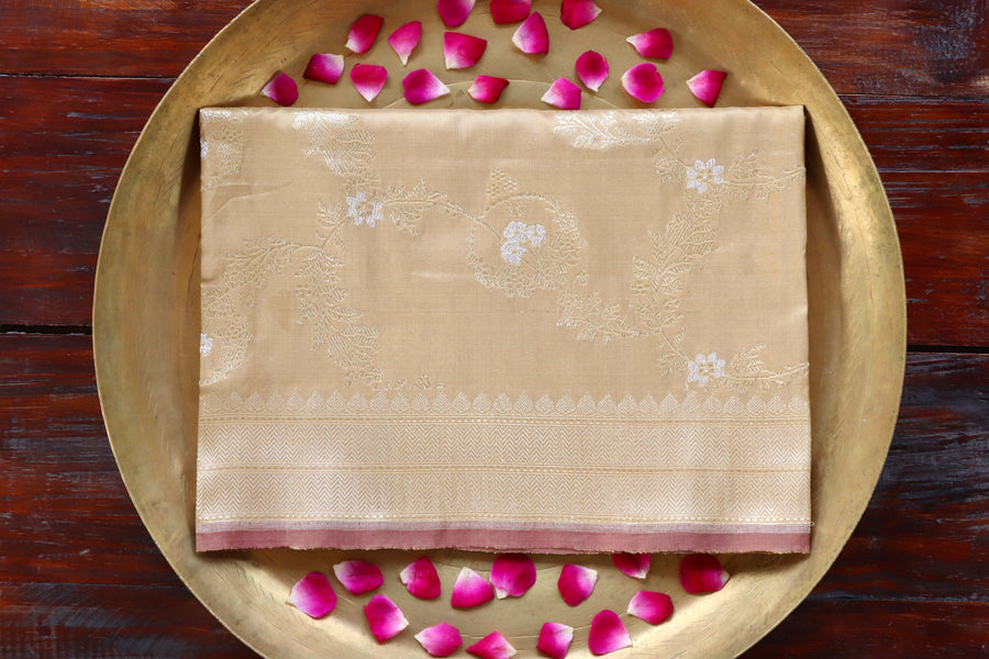 Beige Jangla Pure Silk Handloom Banarasi Dupatta
