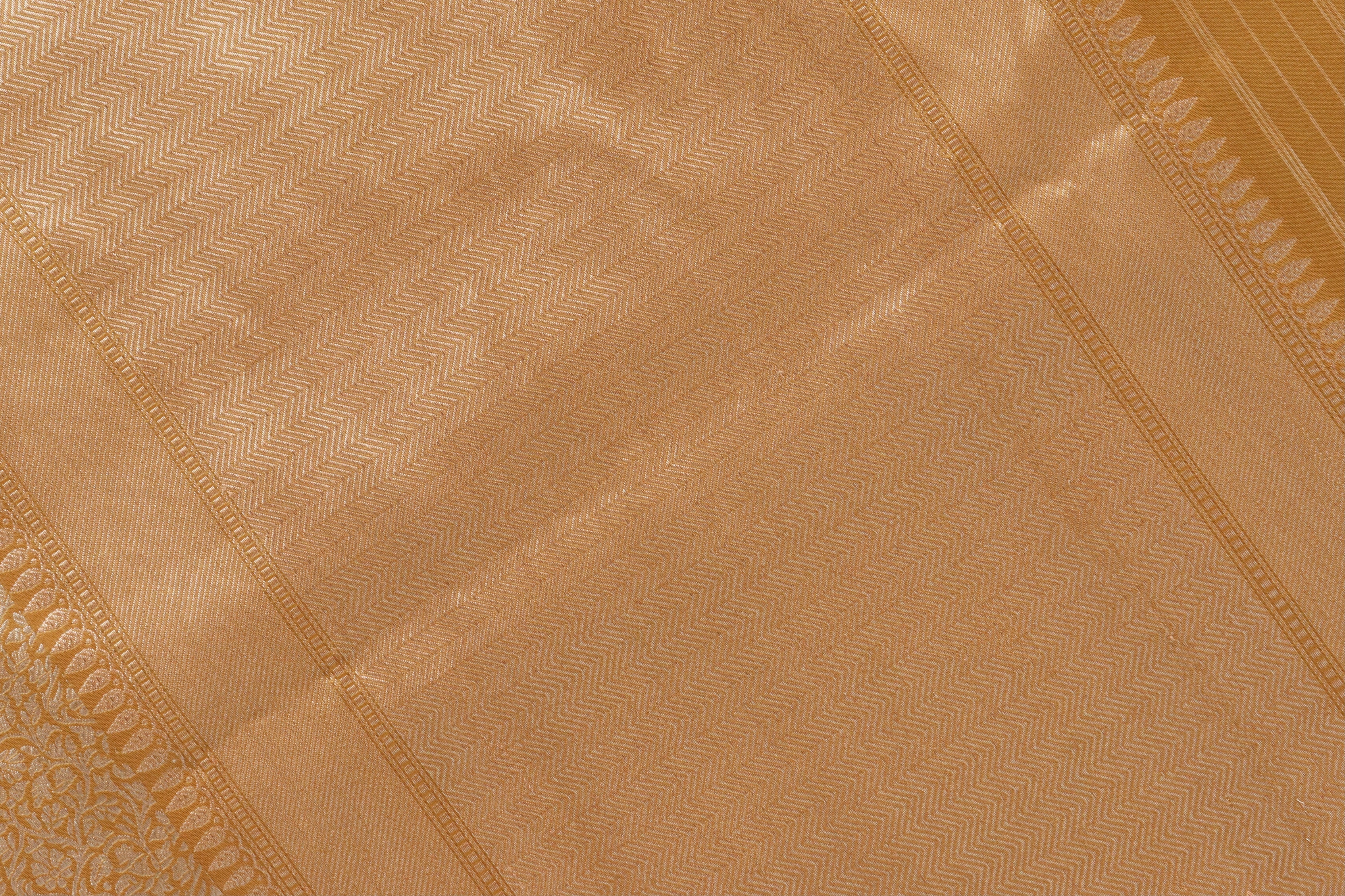 Gold Tanchoi Pure Silk Handloom Banarasi Saree