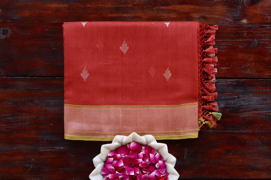 Red Cotton Banarasi saree with thread-by-thread motifs, draped for the camera.