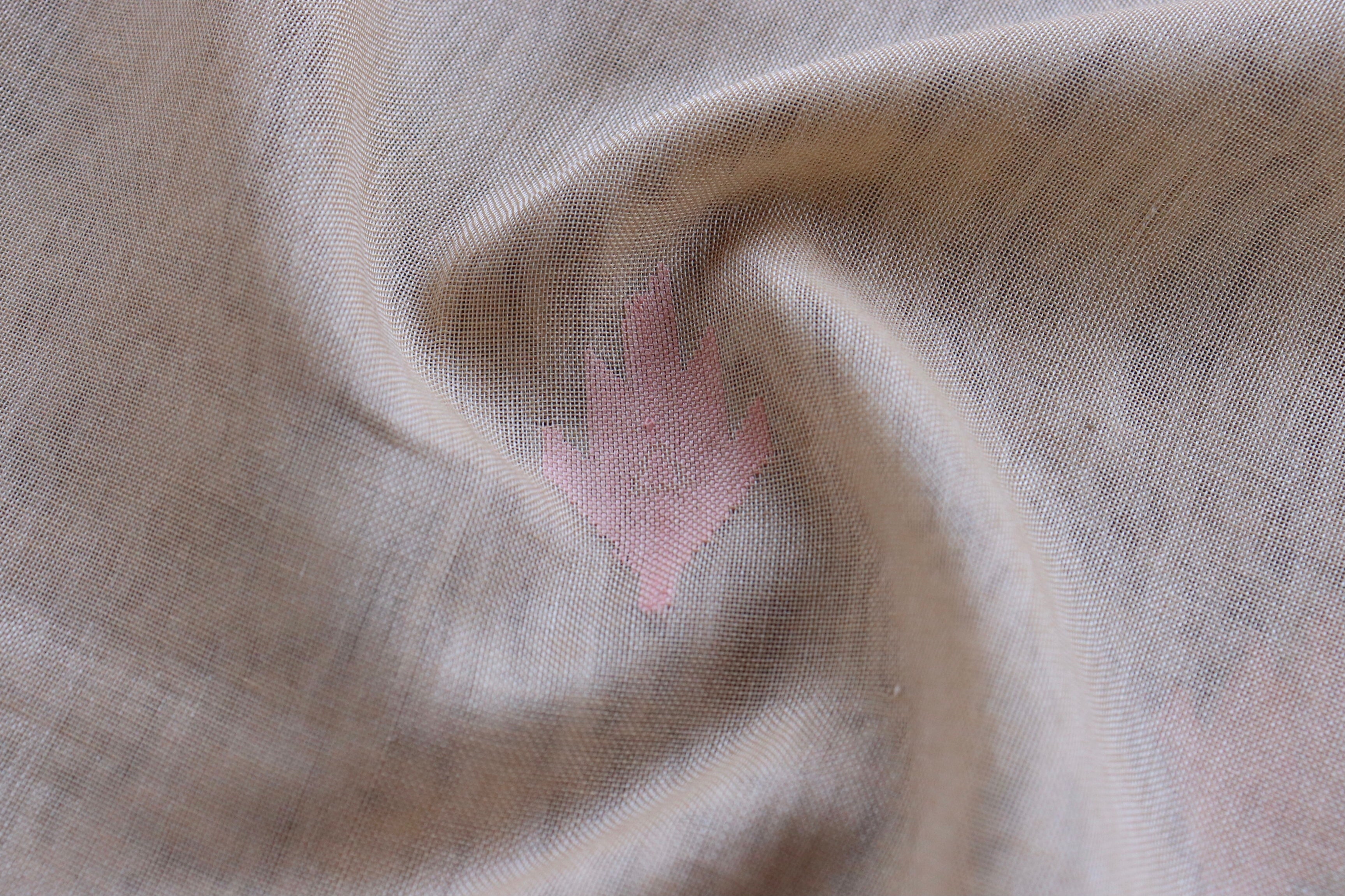 Cream Cotton Meenadar Kadhua Motif Banarasi Handloom Saree