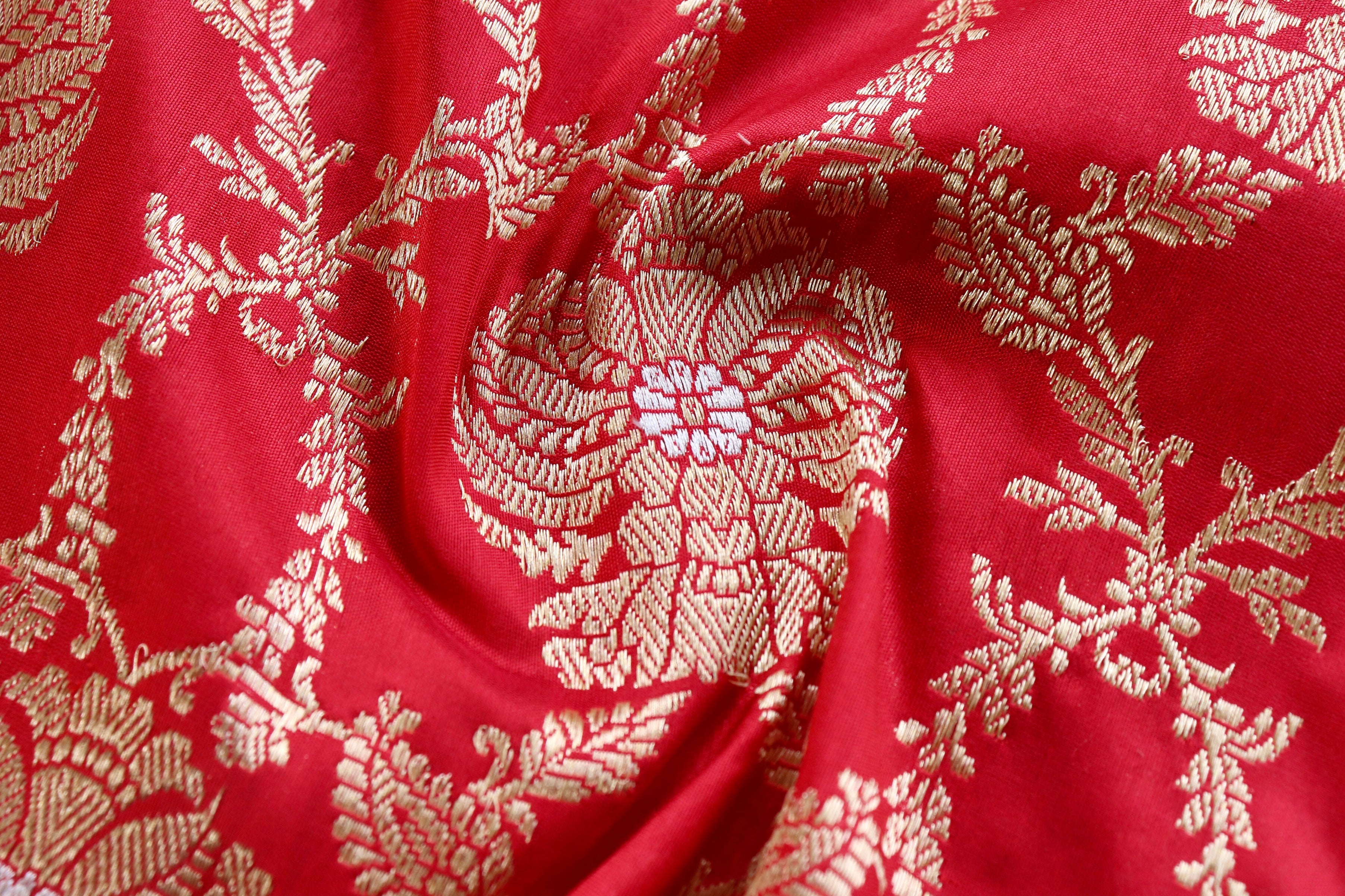 Red Chinar Jangla Pure Silk Handloom Banarasi Saree