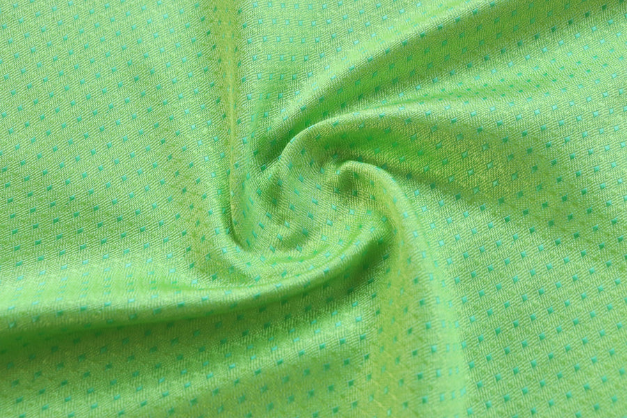 Green Do Rukhi Resham Handwoven Banarasi Tanchoi Silk Saree