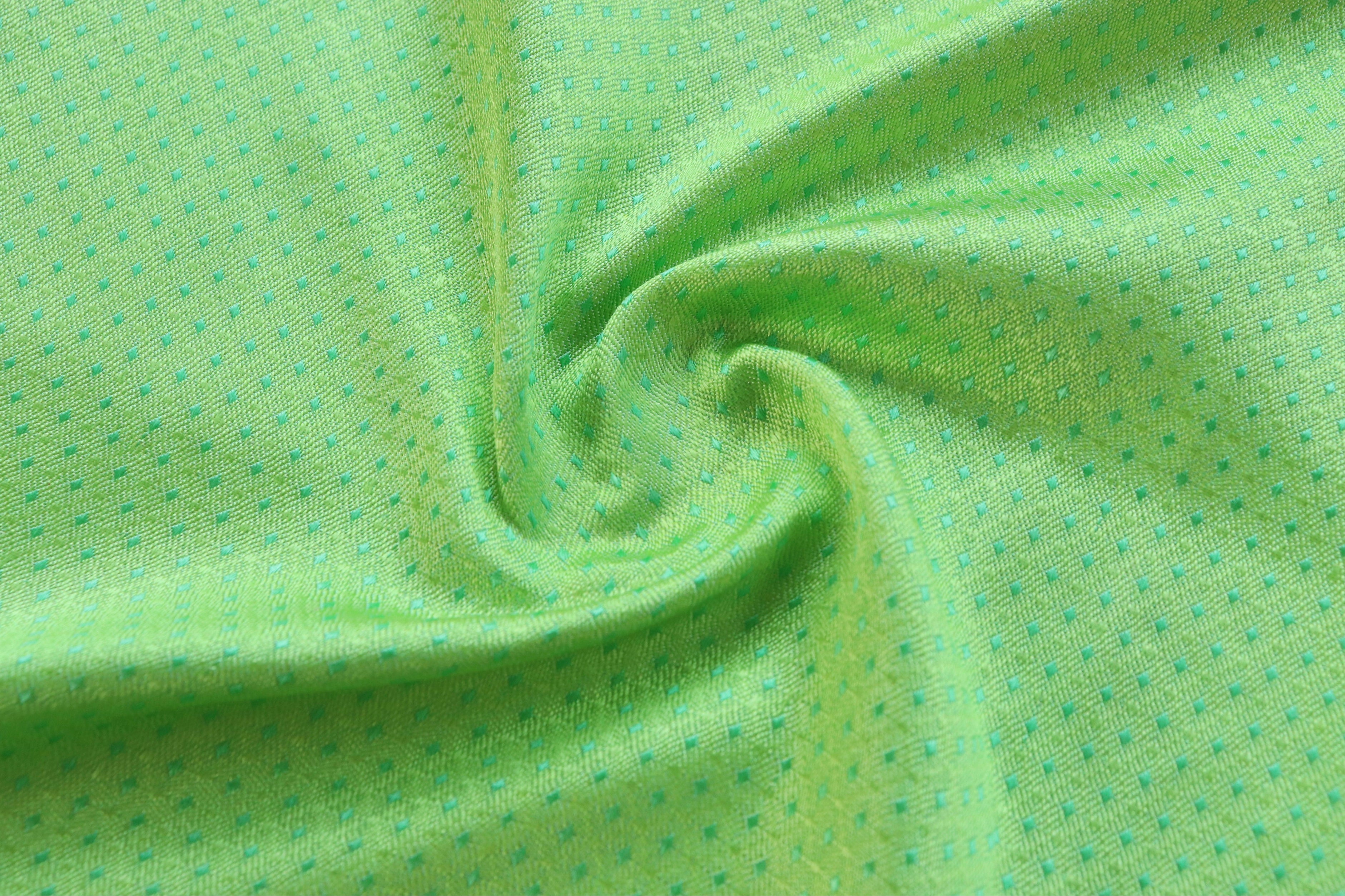 Green Do Rukhi Resham Handwoven Banarasi Tanchoi Silk Saree