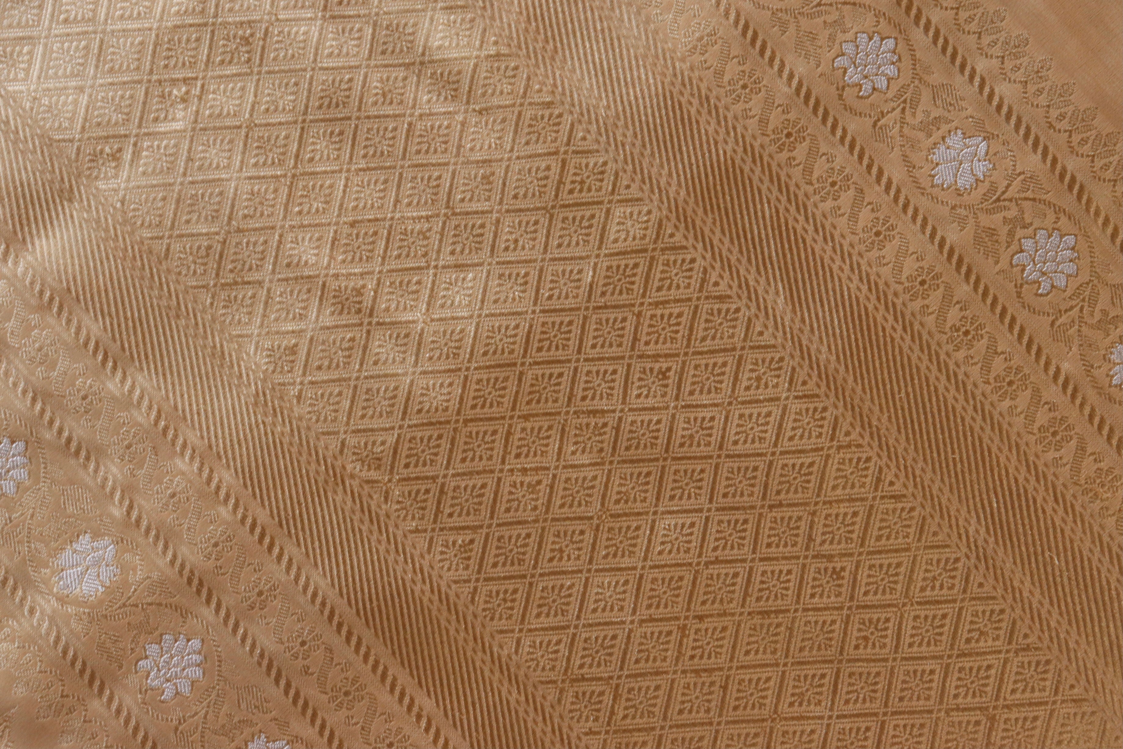Beige Tissue Kadhua Phool Jangla Katan Silk Saree