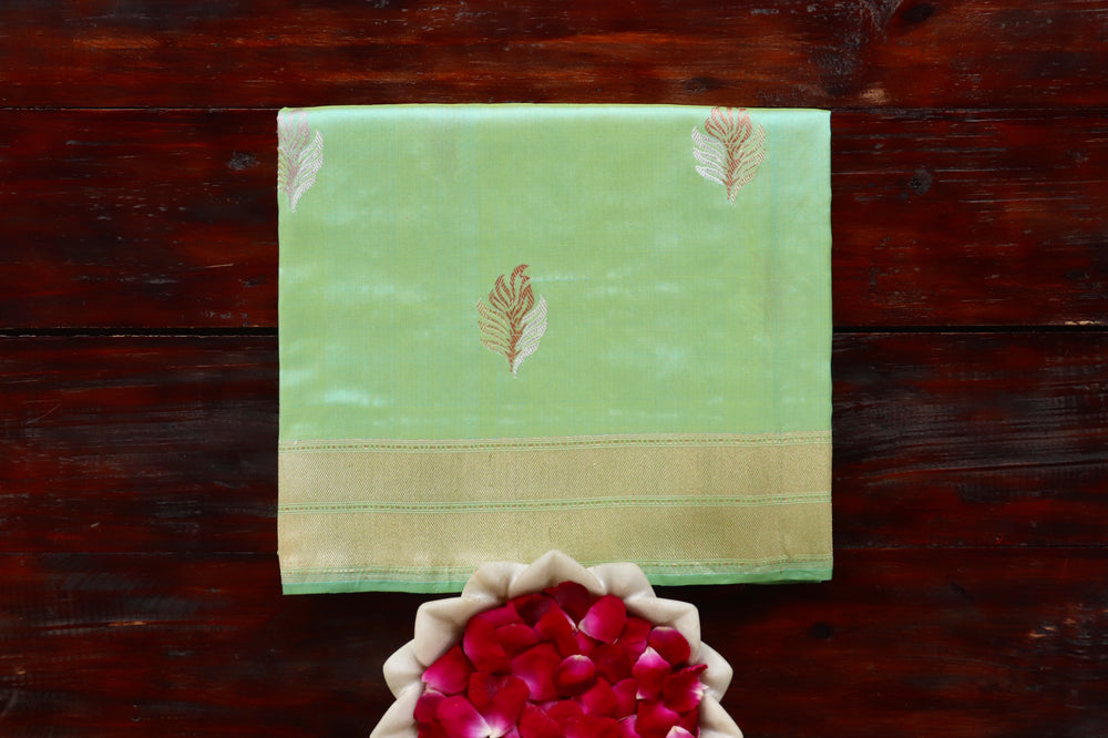 Light Green pure Katan silk Banarasi saree with thread-by-thread motifs, draped for the camera.