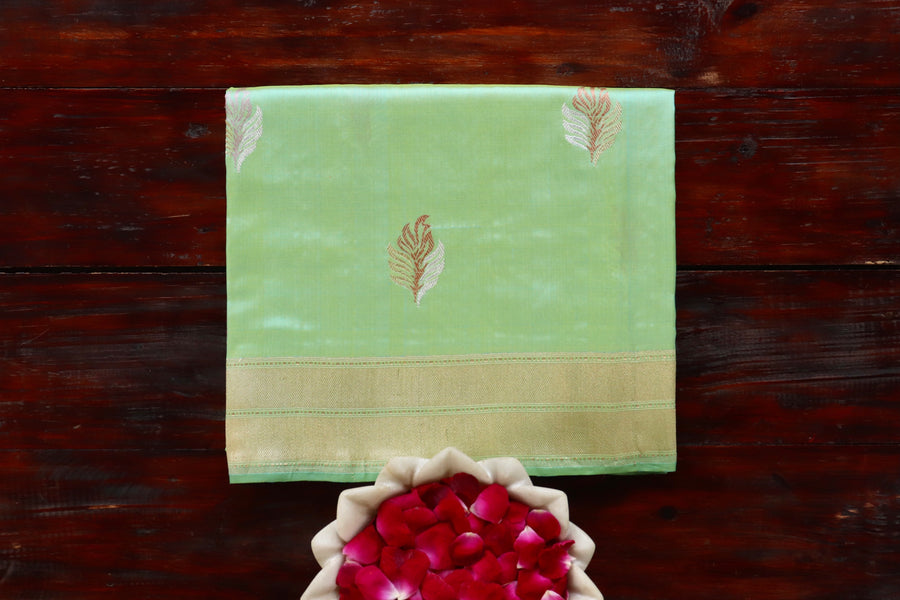 Light Green pure Katan silk Banarasi saree with thread-by-thread motifs, draped for the camera.
