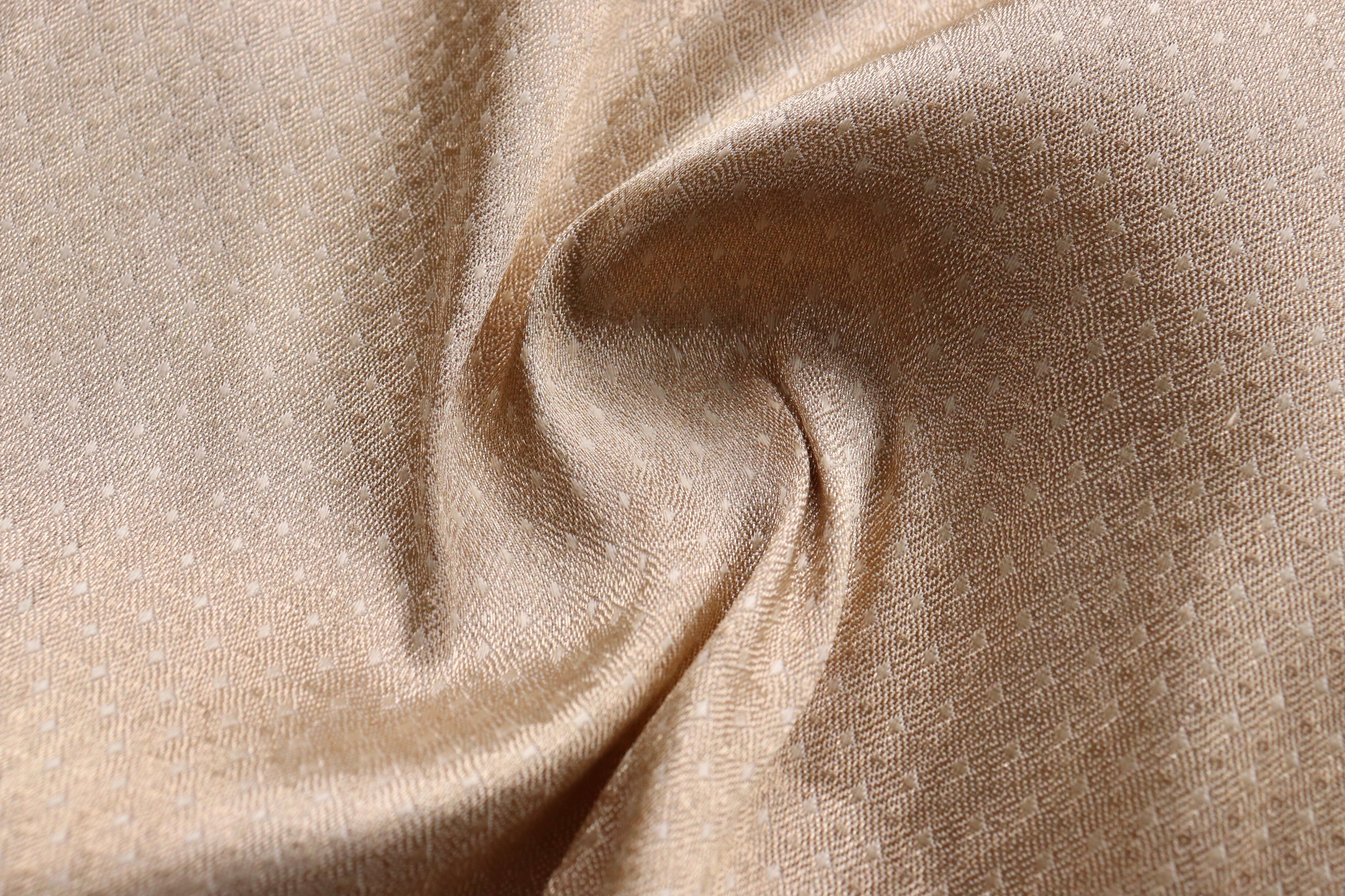 Ivory Do Rukhi Resham Handwoven Banarasi Tanchoi Silk Saree