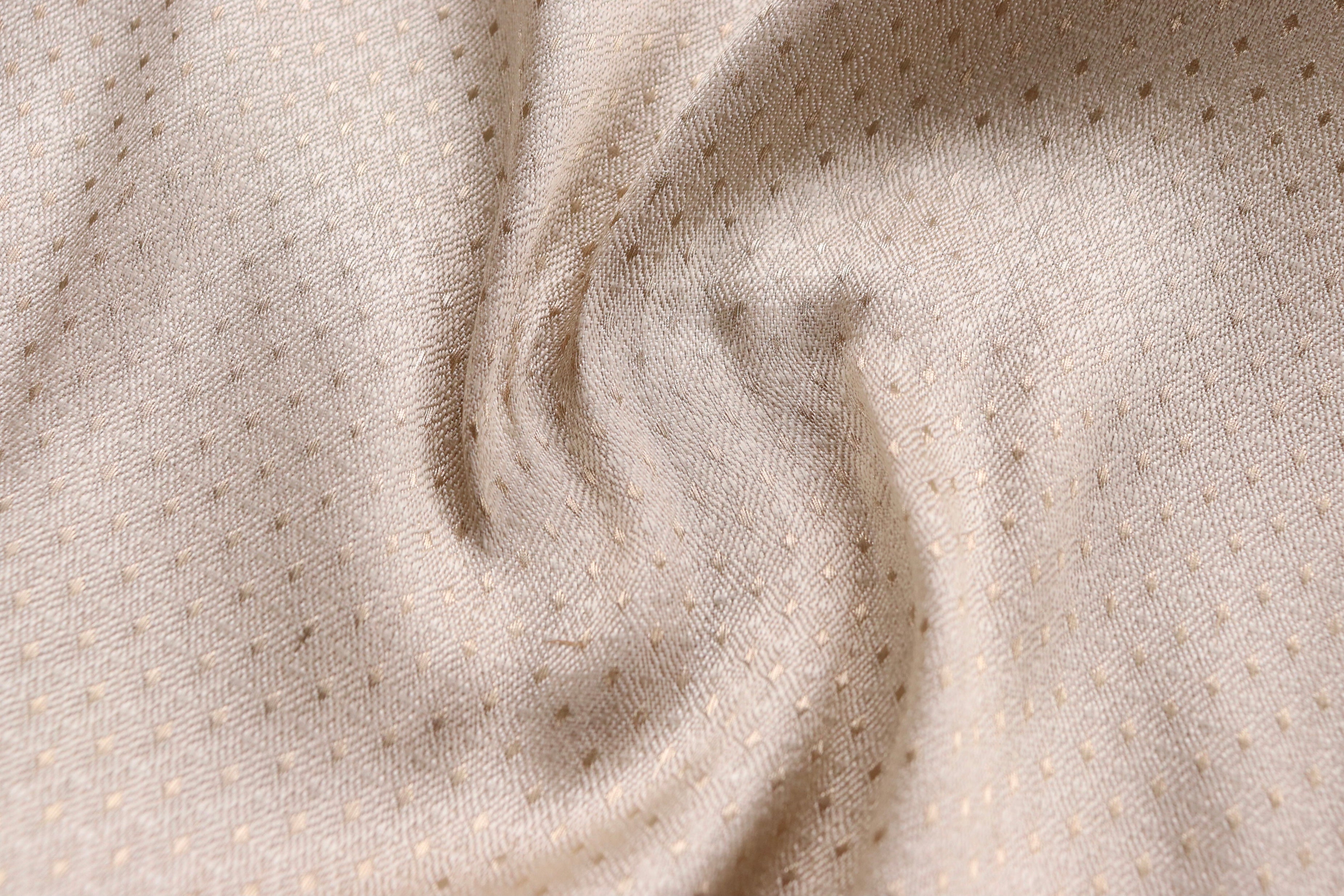 Ivory Do Rukhi Resham Handwoven Banarasi Tanchoi Silk Saree