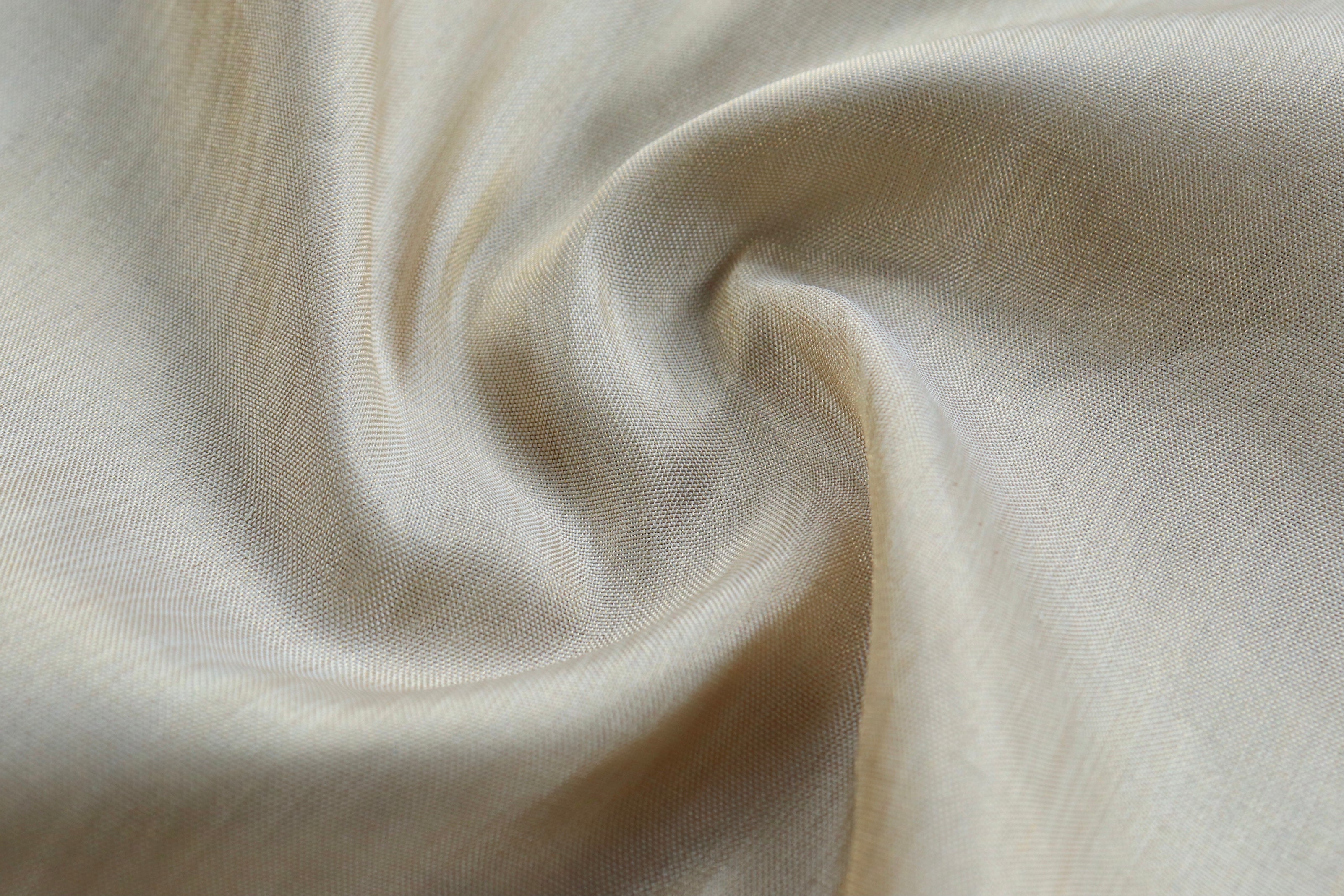 Ivory Tissue Handwoven Silk Saree