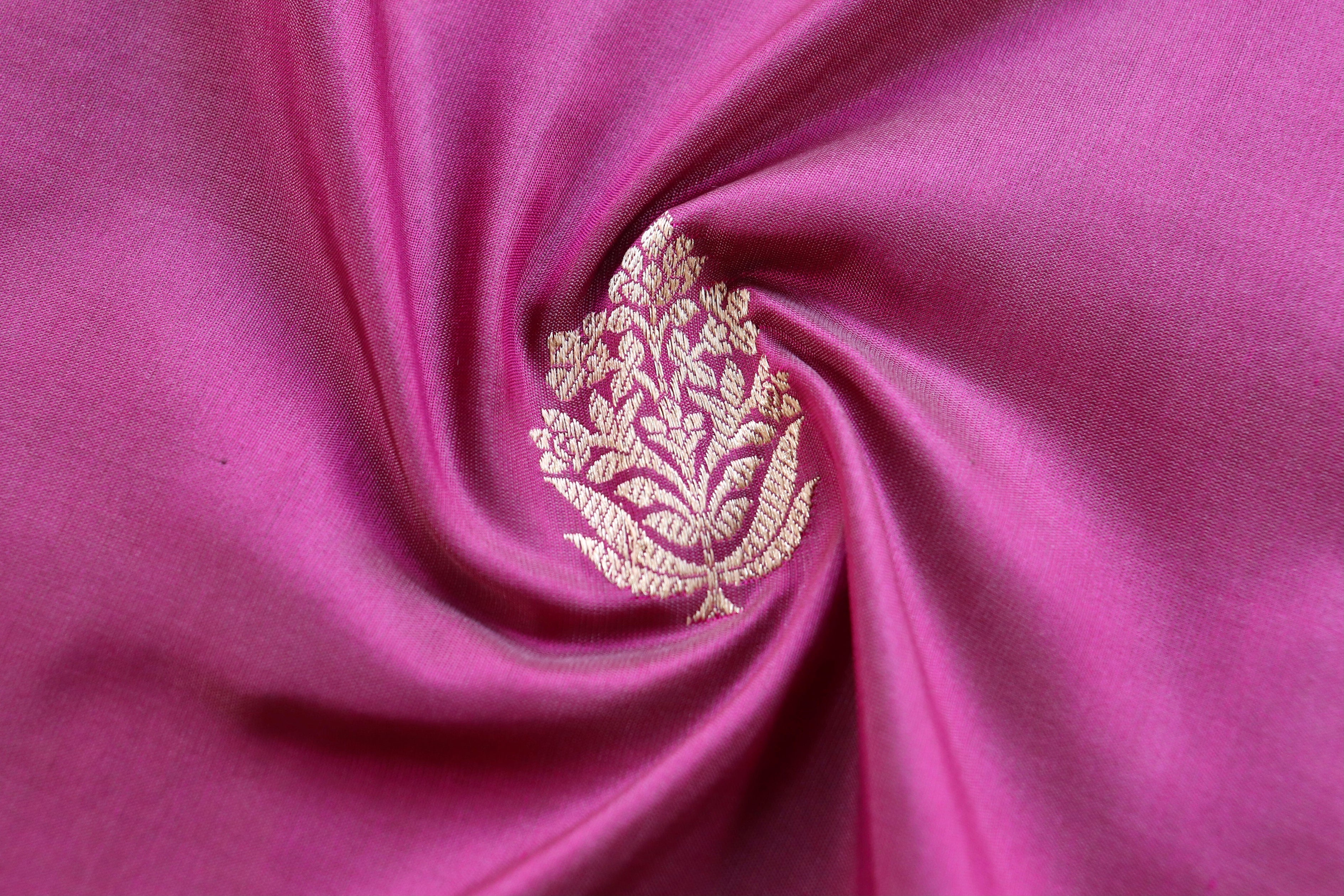 Wildberry Parizaat Motif Pure Silk Handloom Saree