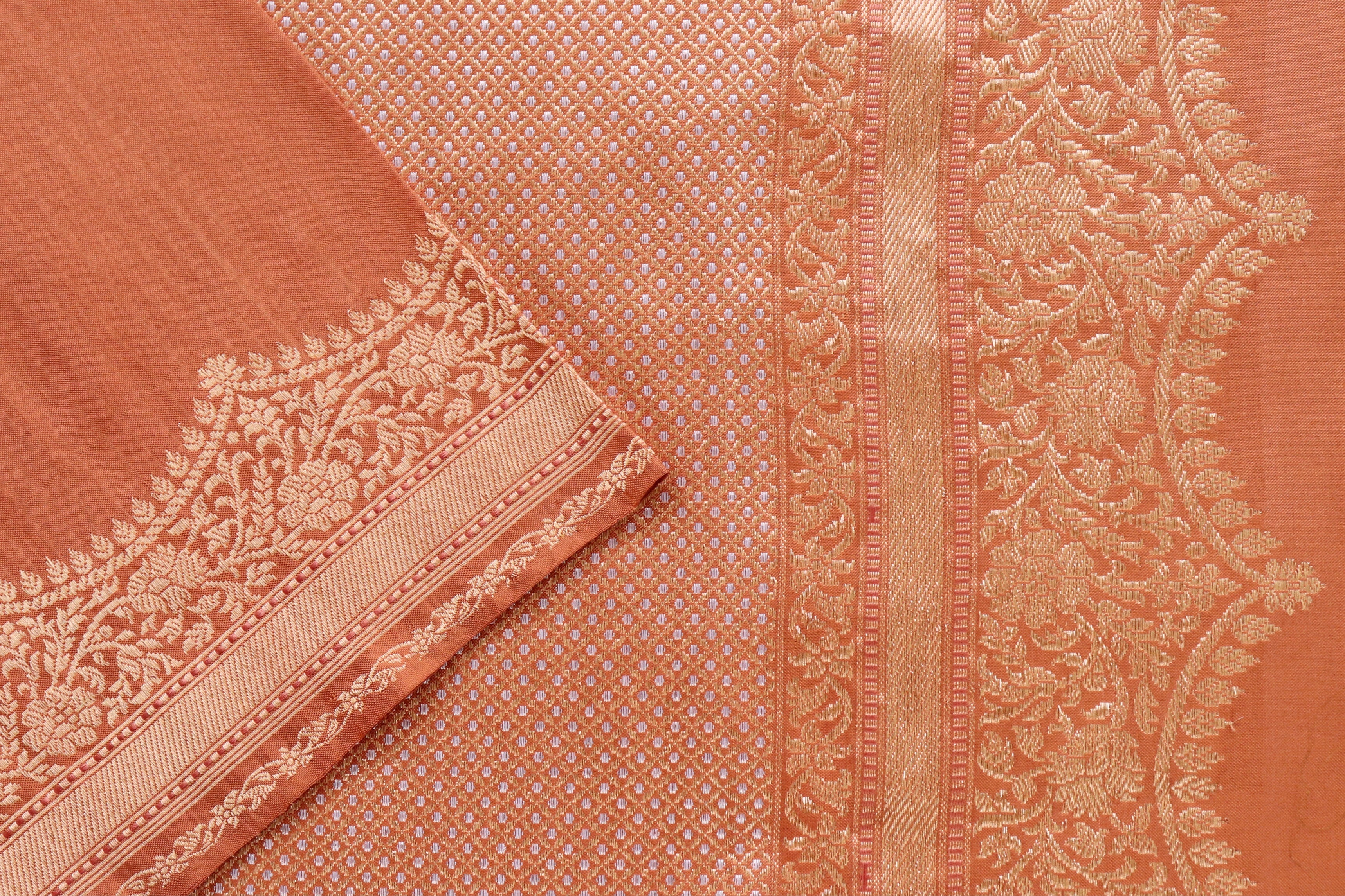 Brown Butterfly Motif Pure Silk Handloom Banarasi Saree