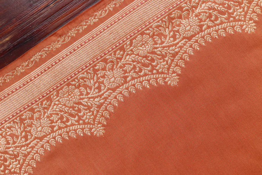 Brown Butterfly Motif Pure Silk Handloom Banarasi Saree