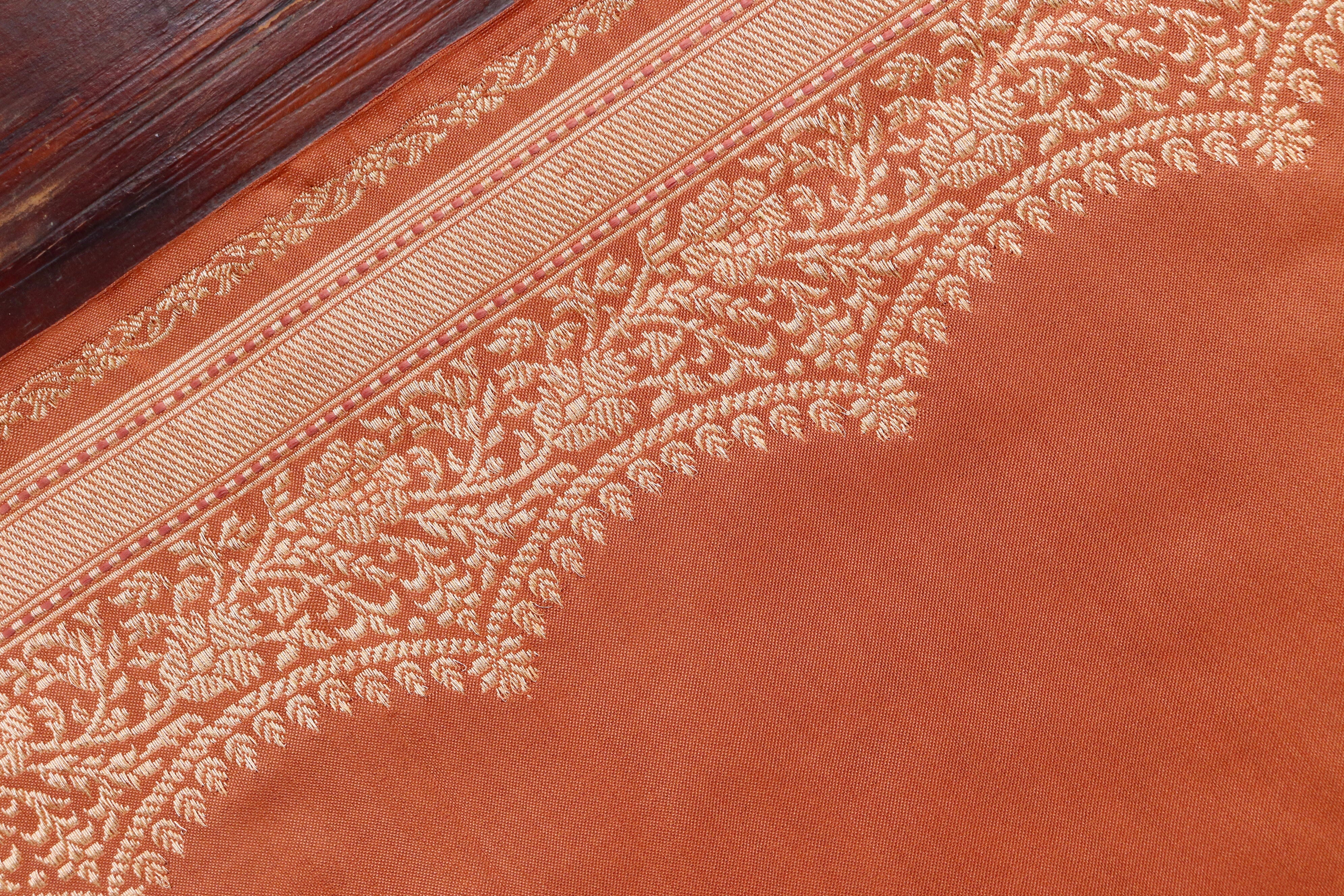 Brown Butterfly Motif Pure Silk Handloom Banarasi Saree