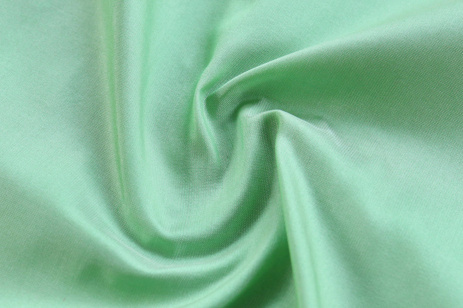 Aanchal motif on Mint Sona Rupa Banarasi saree
