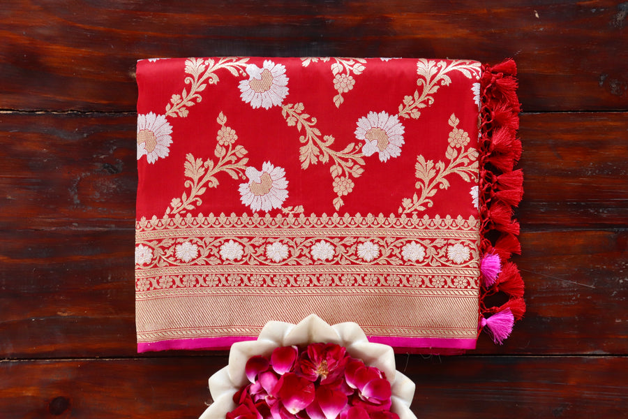 Red Zig Zag Jangla pure silk handloom Banarasi saree draped for the camera