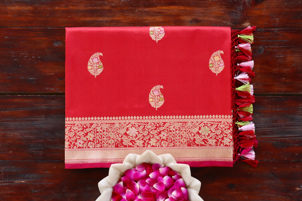 Red pure Katan silk Banarasi saree with Kairy paisley motifs, draped for the camera.