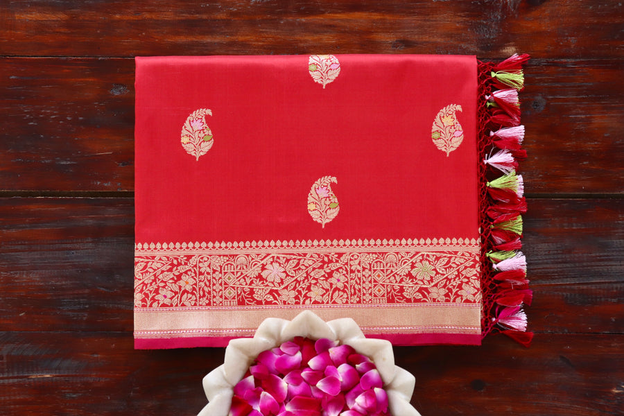 Red pure Katan silk Banarasi saree with Kairy paisley motifs, draped for the camera.
