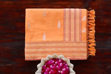 Coral Orange handloom Banarsi saree with kadhua motifs in pure silk