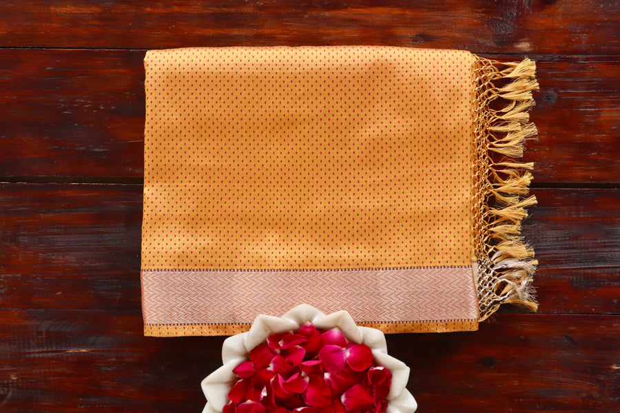 Yellow & Red Do Rukhi Katan silk Banarasi saree with densely packed Tanchoi motifs, draped for the camera.