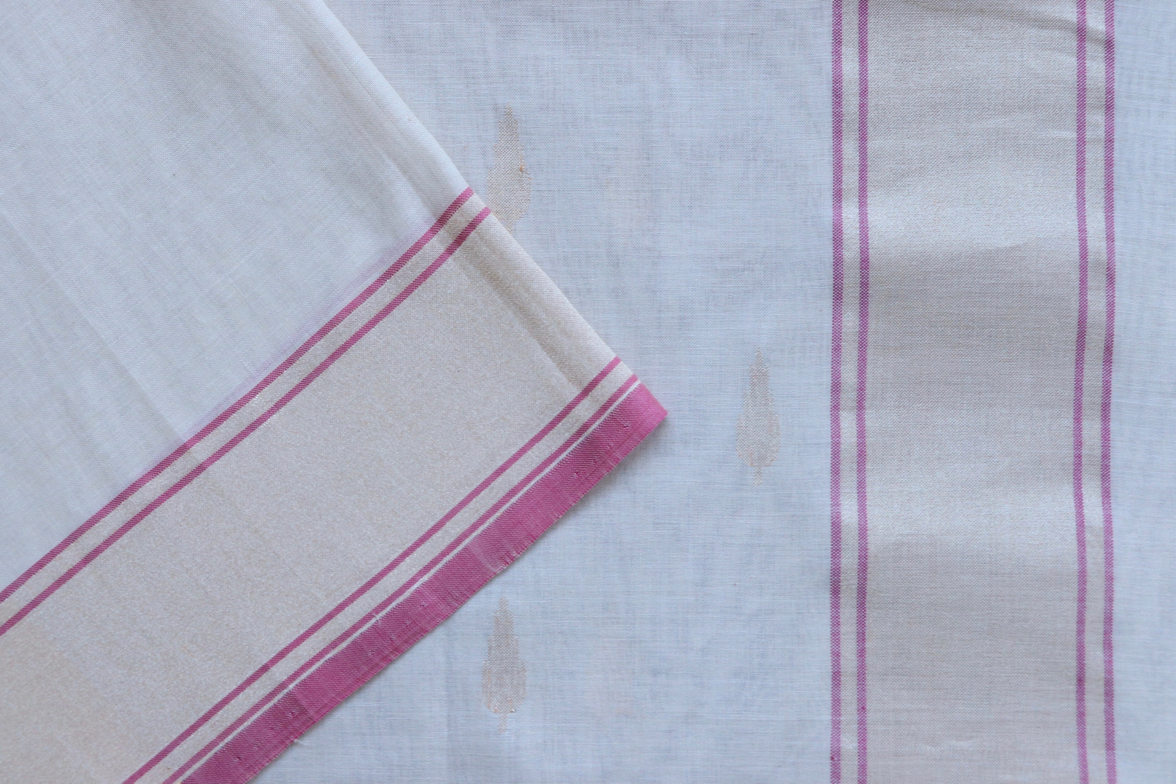 Shwetambari Pure Zari Handwoven Cotton Banarasi Saree