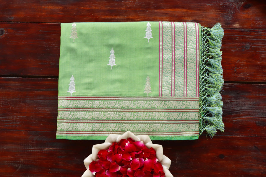Parrot Green pure silk Banarasi saree with thread-by-thread motifs, draped for the camera.