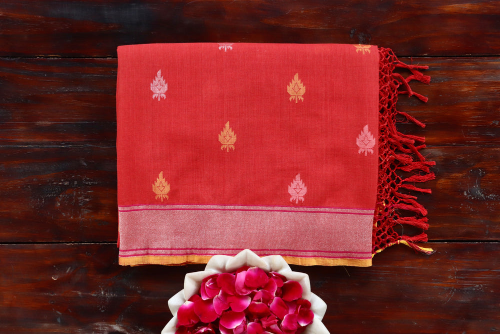 Red Kadhua pure cotton handwoven saree draped for the camera