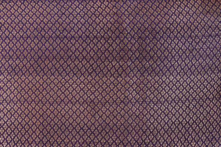 Violet Tussar Silk  Handloom Banarasi Saree