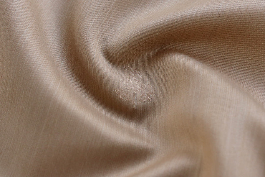Aanchal motif on Beige Virsa Banarasi saree