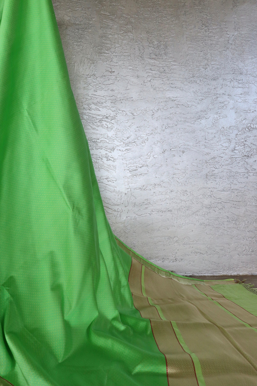 Green Do Rukhi Resham Handwoven Banarasi Tanchoi Silk Saree