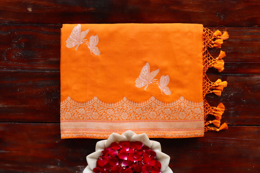 handloom Banarsi saree with butterfly motifs in pure silk