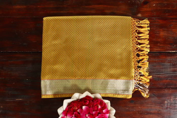 Green handloom Banarsi saree with tanchoi motifs in pure silk