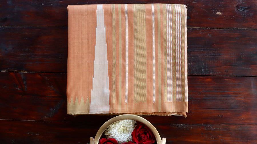 Peach natural-dye Ikat Mulberry silk saree draped for the camera