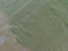 Handloom, Banarasi Handloom Saree, Alfi Saree, Tilfi Saree, Tilfi Saree Banaras, Tilfi, Banarasi Bunkar, Banarasi Bridal Wear, BridalWear, Banarasi Handloom Banarasi Ivory & Green Tanchoi Pure Silk Handloom Banarasi Saree Banarasi Saree