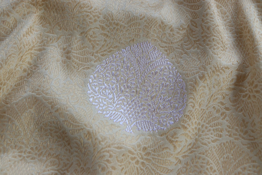 Aanchal motif on Ivory & Green Tanchoi Banarasi saree